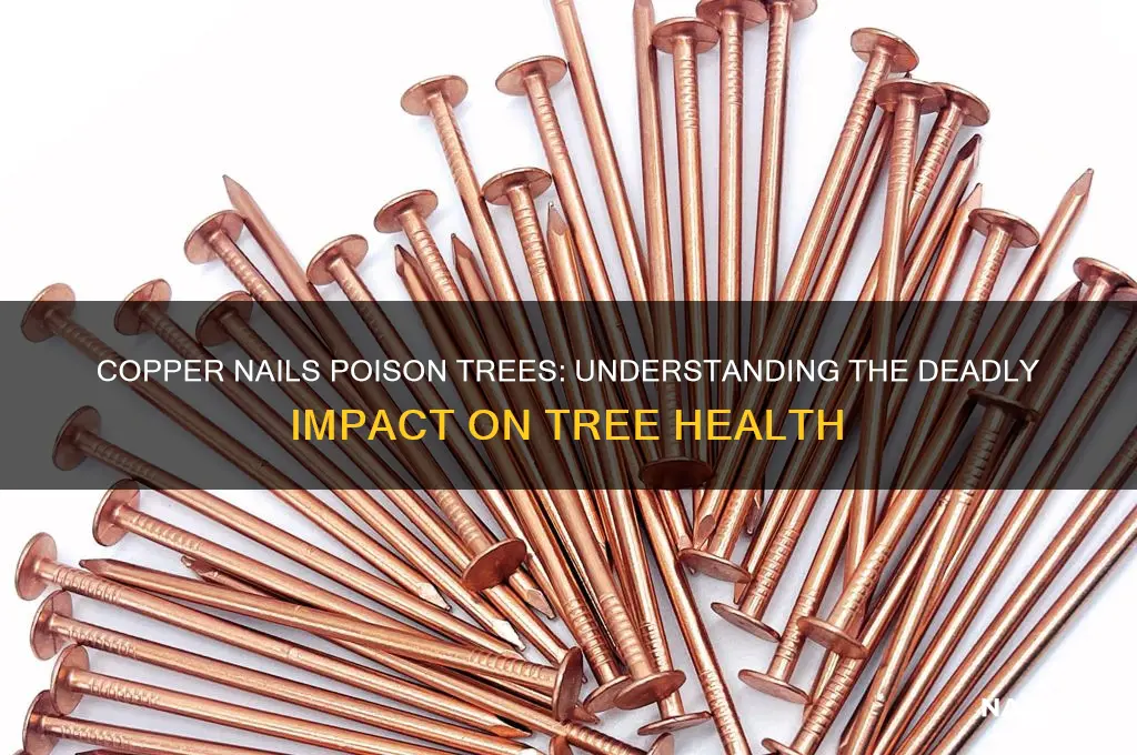 why copper nails kill trees