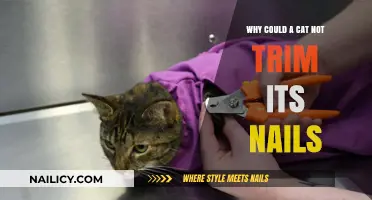 Trimming Cat Nails: Why They Need Our Help