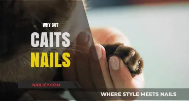 Cutting Cait's Nails: A Necessary Nuisance