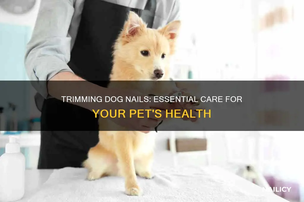 why cut dogs nails