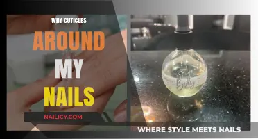 Understanding Cuticles: Their Role and Importance in Nail Health