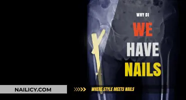 The Surprising Purpose and Evolution of Human Nails Explained