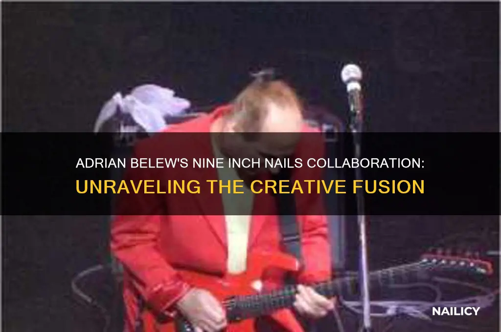 why did adrian belew nine inch nails