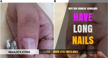 The Intriguing Link Between Chinese Scholars and Long Nails