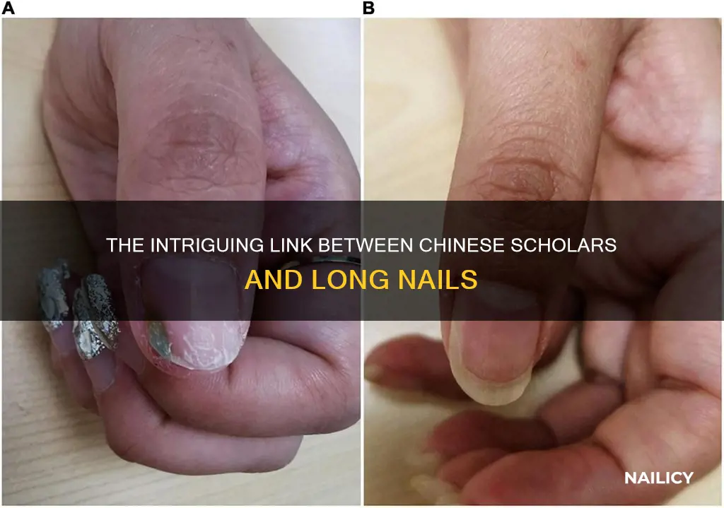 why did chinese scholars have long nails