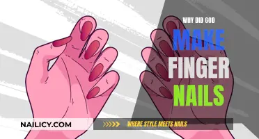 The Purpose of Finger Nails: God's Design Explained