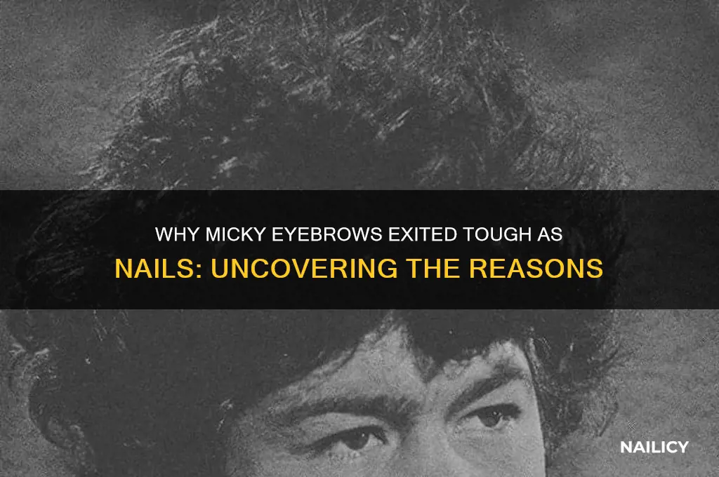 why did micky eyebrows leave tough as nails