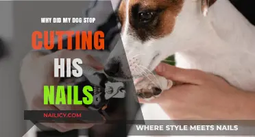 How to Get Your Dog to Tolerate Nail Trims