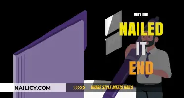 Why 'Nailed It!' Ended: Unraveling the Surprising Cancellation