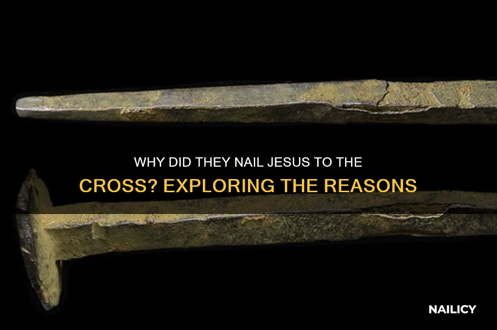 why did they nailed jesus to the cross