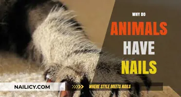 Why Animals Have Nails: Uncovering the Purpose Behind Claws and Hooves