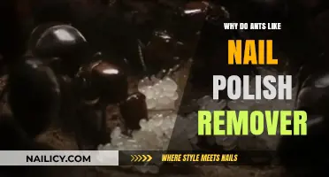 Ants' Attraction to Nail Polish Remover: Solvent Secrets