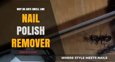 How Ants Produce Acetone Scents