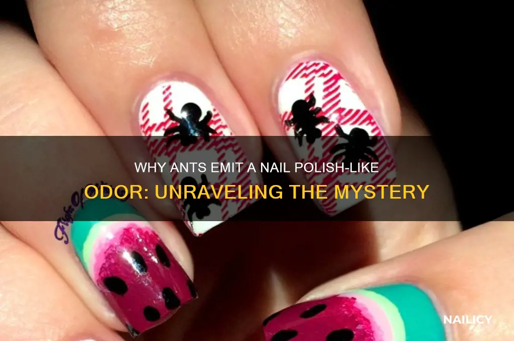 why do ants smell like nail polish