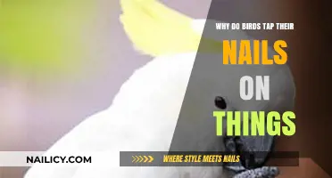Why Birds Tap Their Nails: Uncovering the Surprising Reasons Behind the Habit