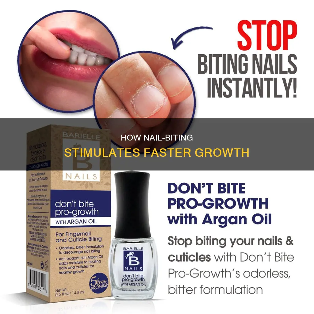 why do bitten nails grow faster