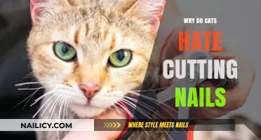 Trimming Nails: A Cat's Nightmare