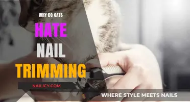 Trimming Nails: A Cat's Worst Nightmare