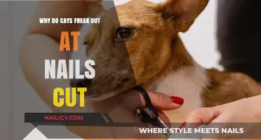 Clipping Chaos: Why Do Cats Hate Nail Trims?