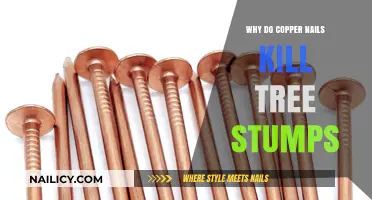 Copper Nails vs. Tree Stumps: The Surprising Science Behind Stump Removal
