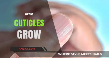 The Evolution of Cuticles: Why Do They Grow?