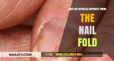 Why Cuticles Separate from the Nail Fold: Causes and Solutions