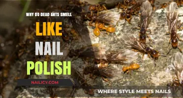 Why Dead Ants Emit a Nail Polish-Like Odor: Unveiling the Science