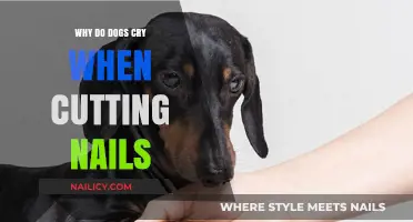Dogs' Emotional Response to Nail Trimming