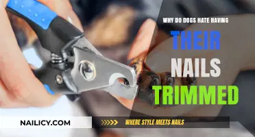 Trimming Nails: A Painful Experience for Dogs