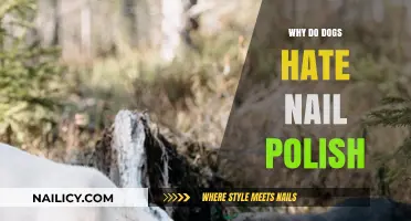 Why Dogs Dislike Nail Polish: Understanding Their Sensory Reactions