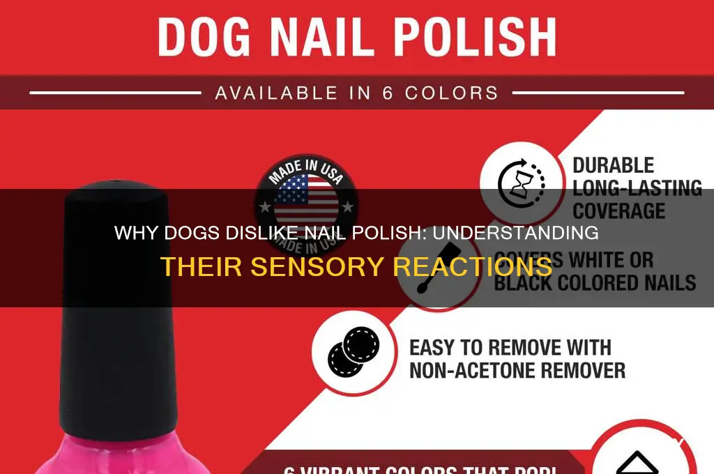 why do dogs hate nail polish