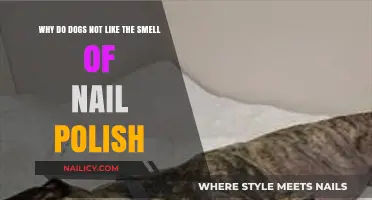 Why Dogs Dislike Nail Polish Smell: Uncovering the Canine Aversion