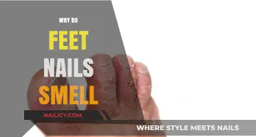 Why Do Toenails Smell? Causes, Prevention, and Quick Fixes
