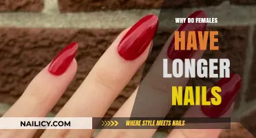 The Evolution of Long Nails: A Female Perspective