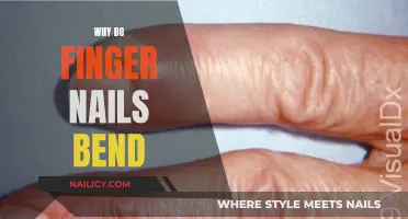 Unraveling the Mystery: Why Do Finger Nails Bend?