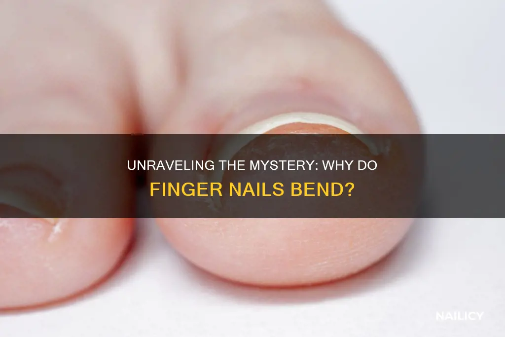 why do finger nails bend