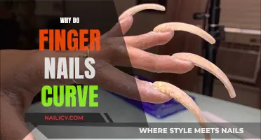 Unraveling the Mystery: Why Do Finger Nails Curve?