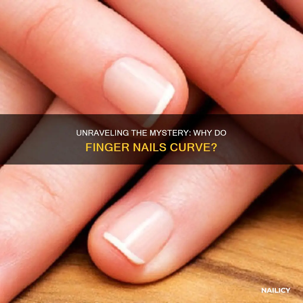 why do finger nails start to curve