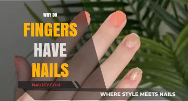 Why Do Fingers Have Nails? Uncovering Their Surprising Purpose and Evolution