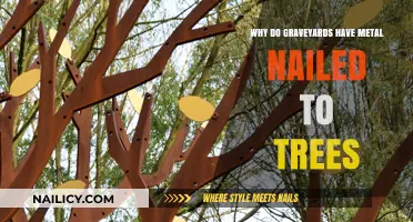 Unveiling the Mystery: Why Graveyards Nail Metal to Trees