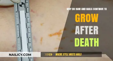 The Mystery of Postmortem Hair and Nail Growth