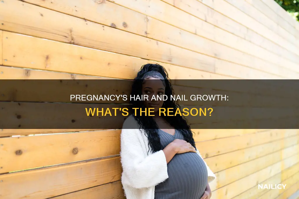 why do hair and nails grow during pregnancy