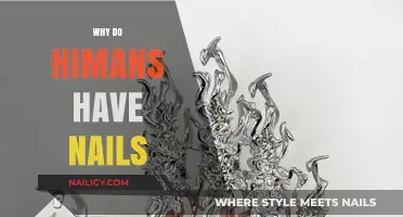 Why Humans Have Nails: Uncovering Their Surprising Purpose and Evolution