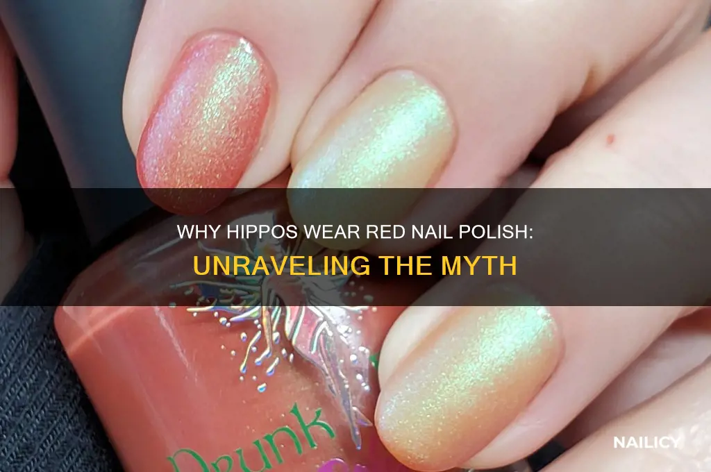 why do hippos wear red nail polish