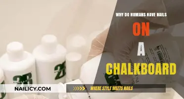 Why Nails on a Chalkboard Trigger Human Discomfort: Explained