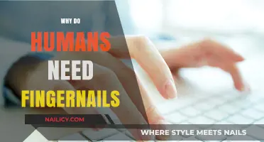 Why Fingernails Matter: Uncovering Their Essential Role in Human Life