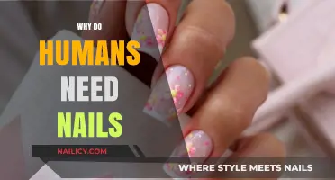 Why Humans Need Nails: Essential Functions and Surprising Benefits Explained