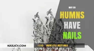 The Surprising Purpose and Evolution of Human Nails Explained