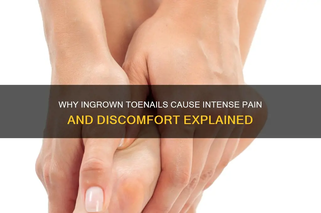 why do ingrown nails hurt so bad