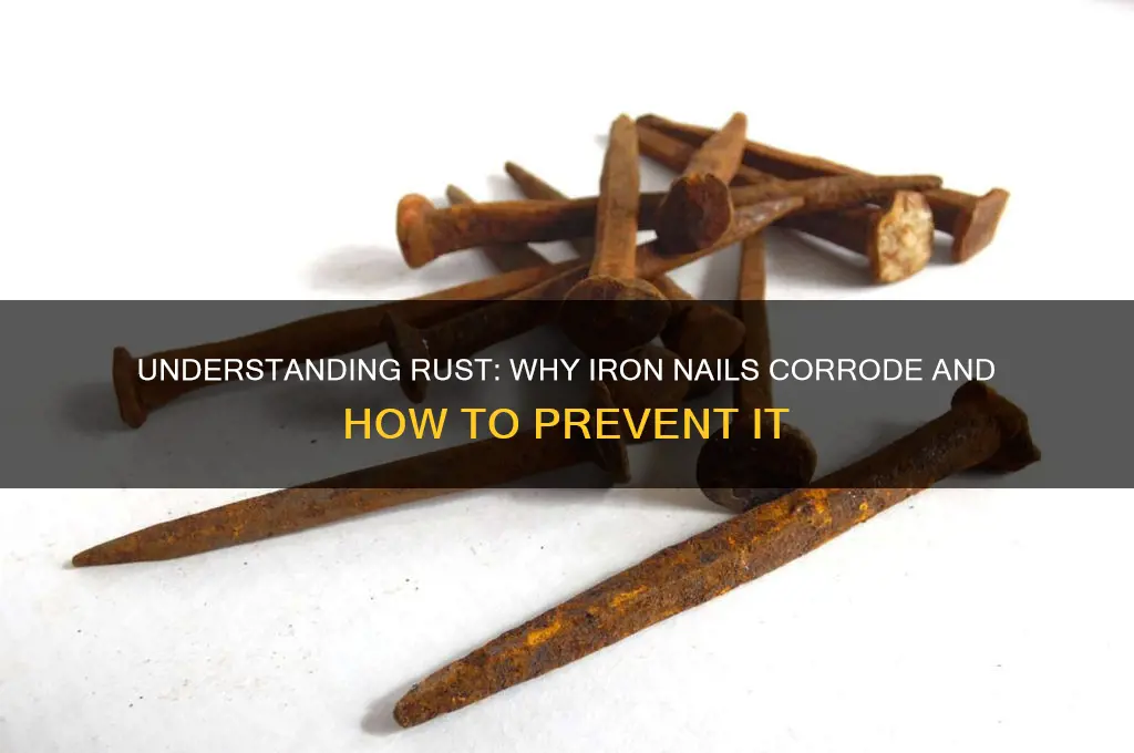 why do iron nails rust